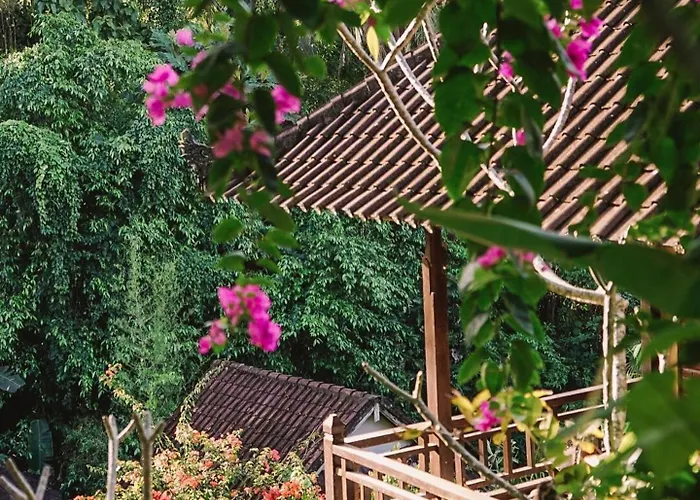 Down The Rabbit Hole Ubud